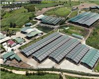 DỰ ÁN CUNG CẤP MÁY BIẾN ÁP  TẠI KCN TRÀ ĐA TỈNH GIA LAI